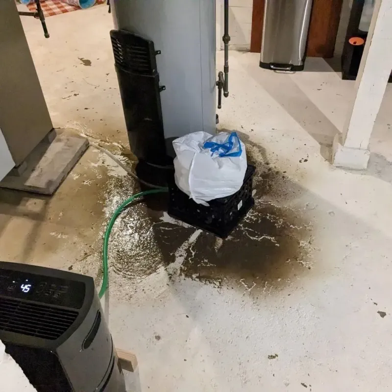 Sewage Backup Cleanup Service in Uvalde County, TX